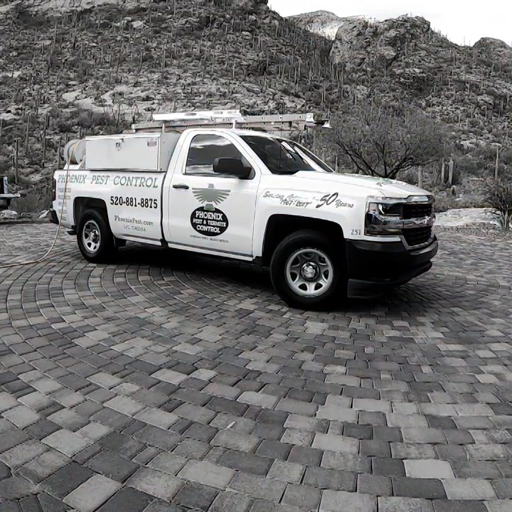 Phoenix Pest & Termite Control project